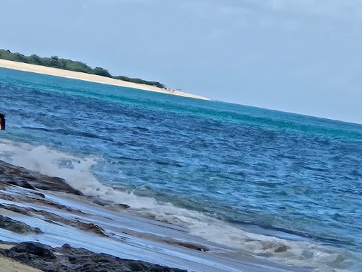 Home media thumbnail 0