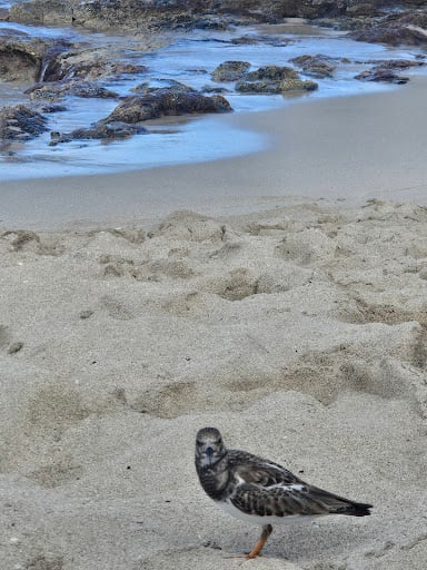 Home media thumbnail 2